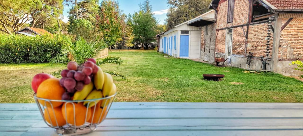 Charmante Maison Dans Les Landes X 10 Avec Piscine Et Salle D Escalade Lue Exterior photo