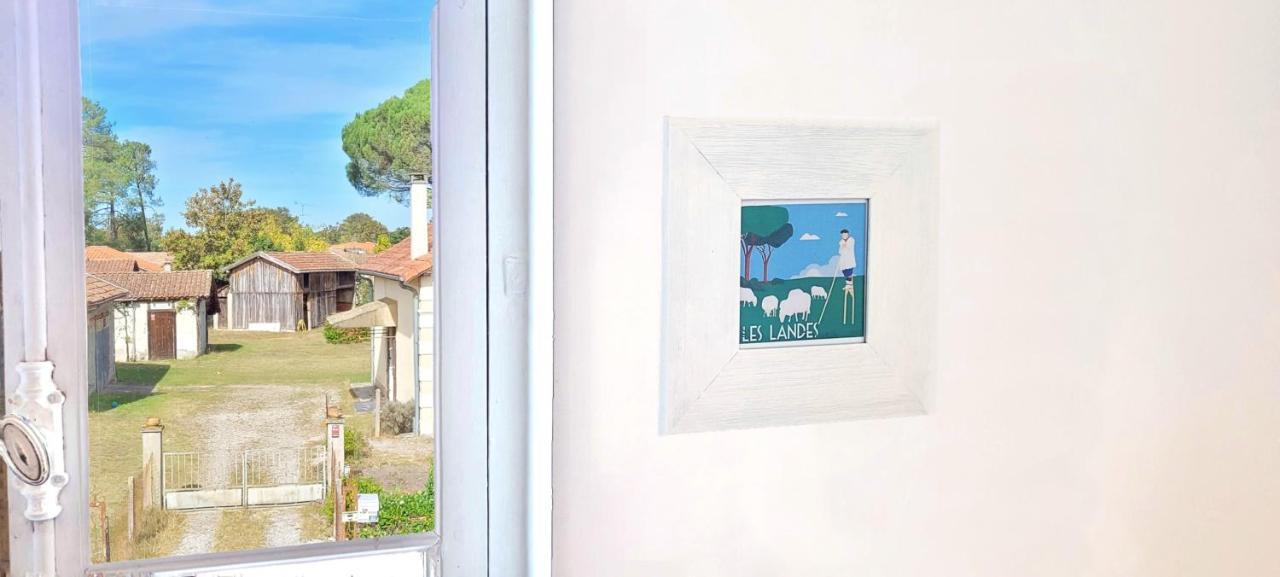 Charmante Maison Dans Les Landes X 10 Avec Piscine Et Salle D Escalade Lue Exterior photo